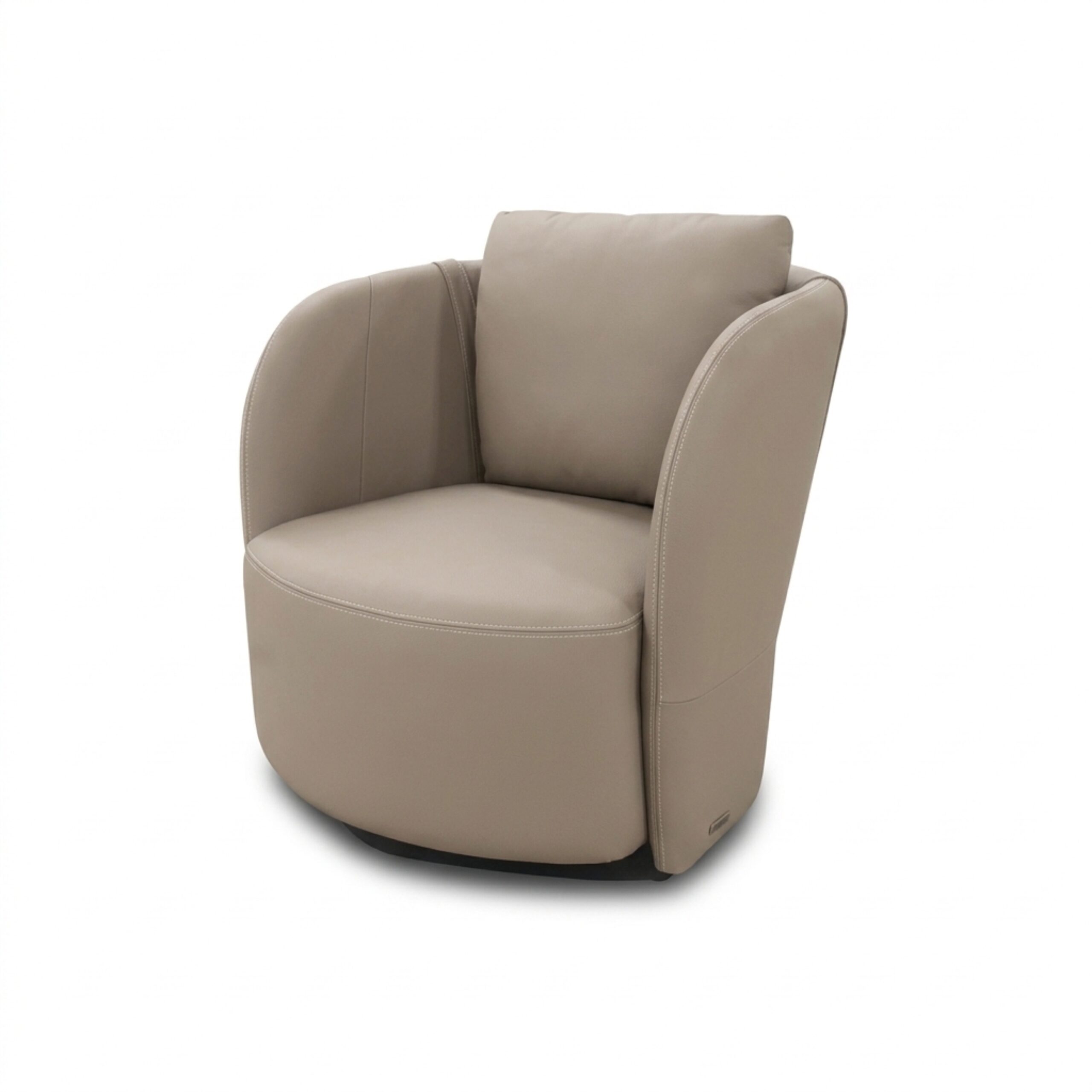 Nelore Imagens F.I -Site Toro (25)